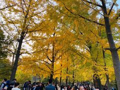 -八大关景区