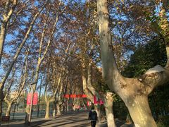 -南京航空航天大学(明故宫校区)