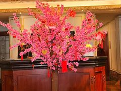 -上海和平饭店龙凤厅 Dragon Phoenix