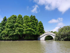 -上海海湾国家森林公园