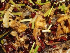 -老板恋上鱼(恒隆广场店)