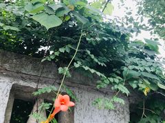 -桂林公园(地铁站)