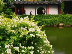 -水绘园
