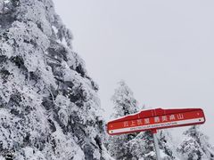 -瓦屋山景区