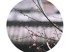 -黎阳老街