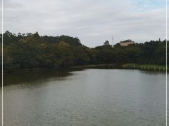 -南国桃园旅游度假区