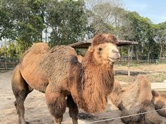 -宁波野生动物园