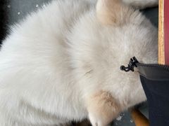 -阿尔法海鲜排档(爱琴海店)
