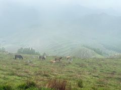 -灵山