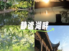 -八大山人梅湖景区