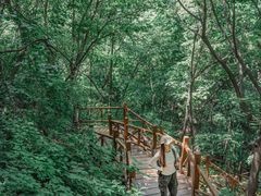-大岭沟猕猴桃谷风景区