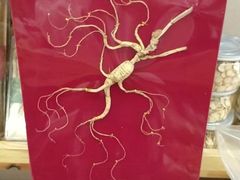 -老猎户炭火锅羊汤(万达店)