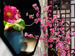 -名善山珍·野生菌汤锅(文殊院店)