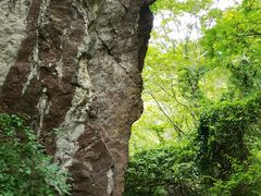 -云岫谷游猎自然风景区