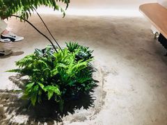 -光作面包Voila Lumiere(中山店)