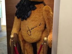 -济州岛泰迪熊博物馆