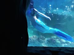-嘉兴海底世界