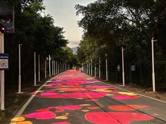 -西涌国际滨海旅游区