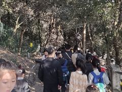 -灵顺寺