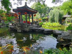 -白家大院·王府宫廷菜(苏州街店)