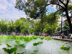 -四川大学(望江校区)