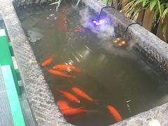 景观位-顺承小院儿