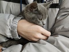 -宠颐生中康贝怡动物医院