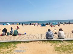 -金梦海湾浴场