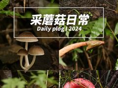 -灵山