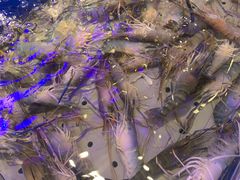 -澜悦港海鲜体验主题餐厅