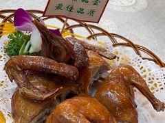 -津津菜馆(绝没分店)