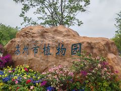 -苏州上方山国家森林公园