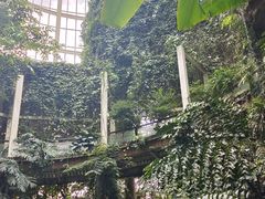-昆明植物园