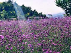 -云峰山自然风景区