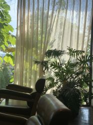 -罗亚帝·NASHOW纳秀形象设计