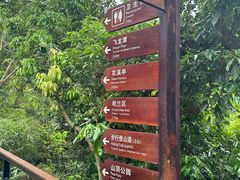 -亚龙湾热带天堂森林公园