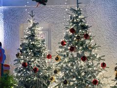 -弗兰克牛排西餐厅Ribone steak house(柠檬花园店)