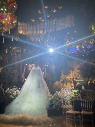 点击看大图 -谛融婚礼酒店·宴会厅(花园店)