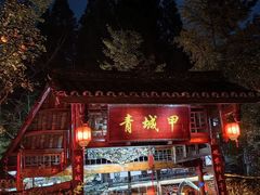 -青城甲(青城山店)