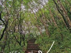 -白草畔自然风景区