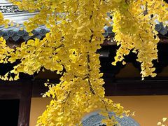 -龙华寺