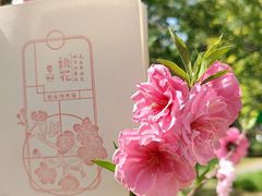 -国家植物园