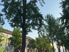 -杭州湖滨in77