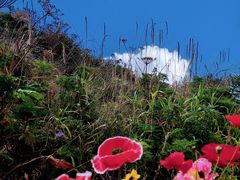 -白草畔自然风景区