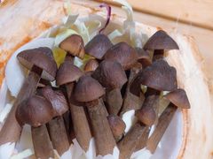 -椰夫人·养生椰子鸡(金沙洲永旺店)