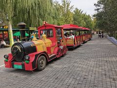 -石家庄市植物园