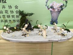 -龙大花卉苗木市场