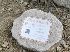 -上海佘山国家森林公园天马山园