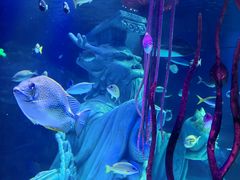 -沈阳海洋探索中心