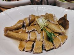 -新世纪大酒楼·30年南海菜
